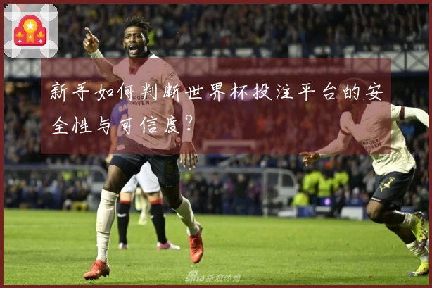 新手如何判断世界杯投注平台的安全性与可信度？