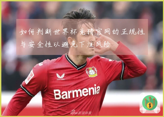 如何判断世界杯竞猜官网的正规性与安全性以避免下注风险