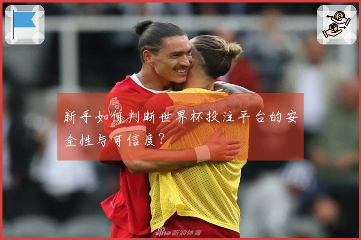 新手如何判断世界杯投注平台的安全性与可信度？