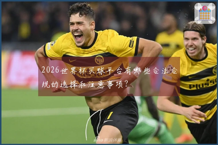 2026世界杯买球平台有哪些合法合规的选择和注意事项？